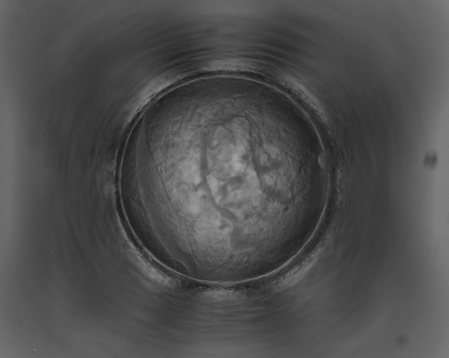 X0000093611033200710221603