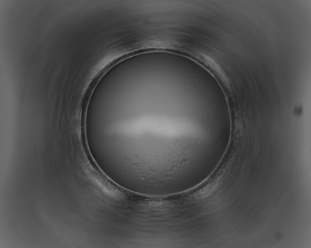 X0000093611035200710221603