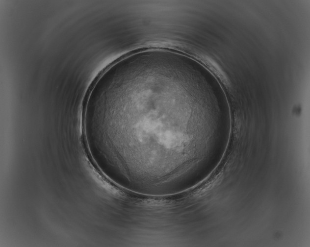 X0000093611036200710221603