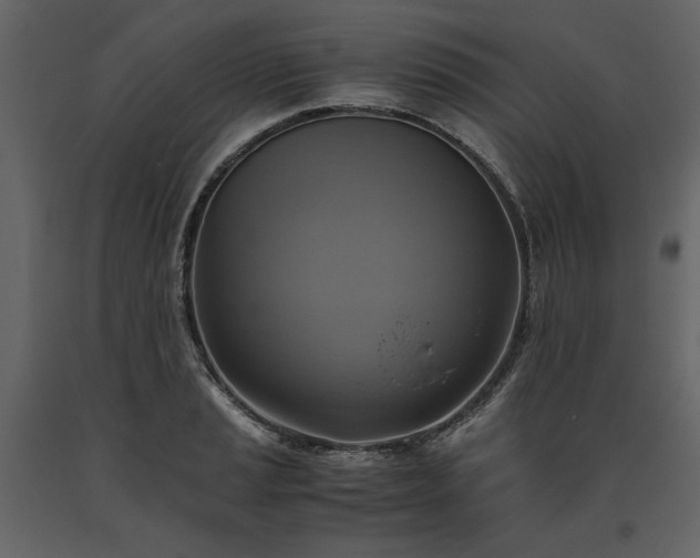 X0000093611037200710221603