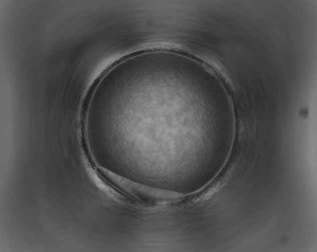 X0000093611038200710221603