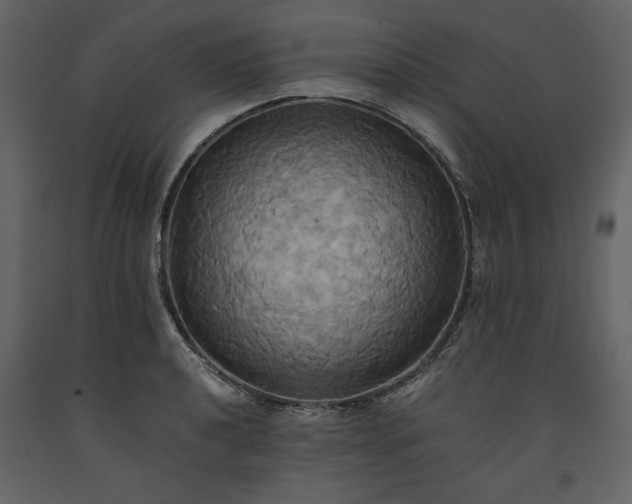 X0000093611040200710221603