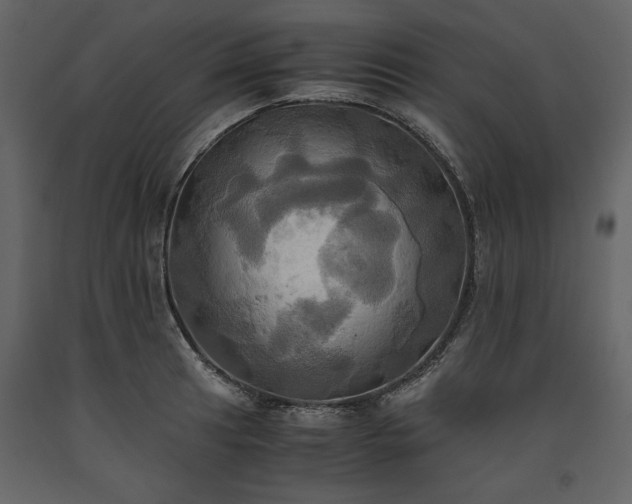X0000093611041200710221603