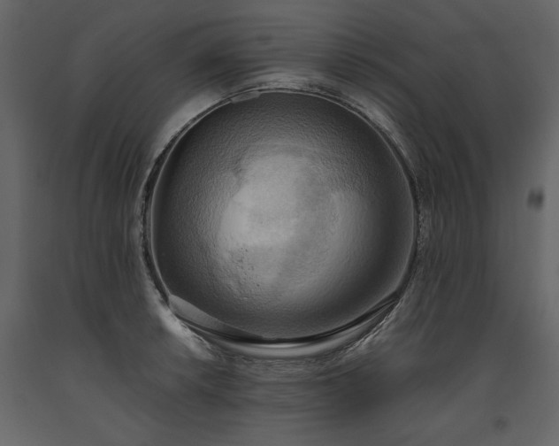 X0000093611042200710221603