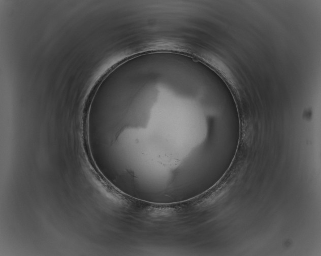X0000093611043200710221603