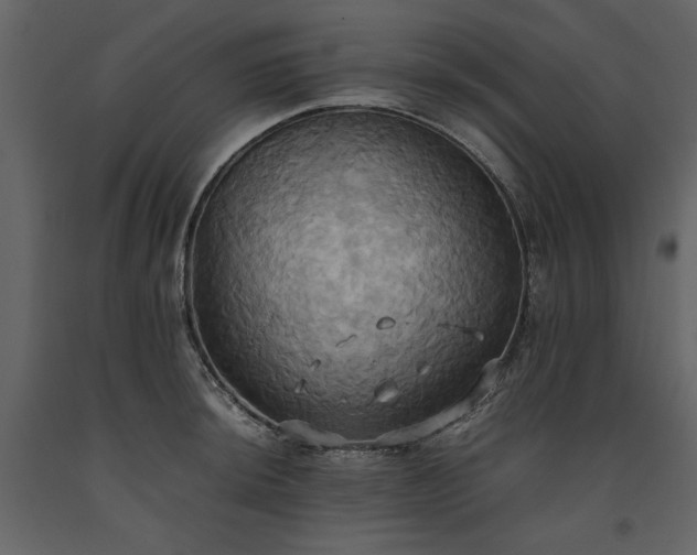 X0000093611044200710221603