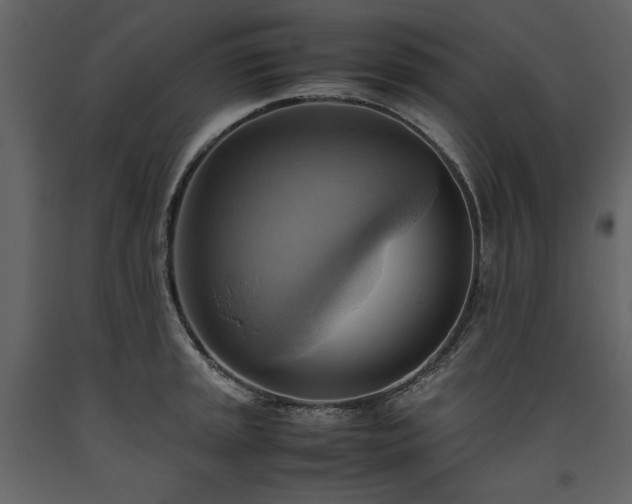 X0000093611045200710221603