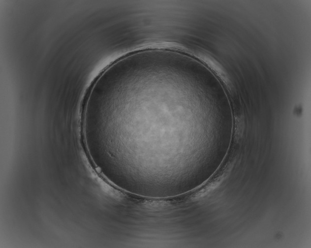 X0000093611046200710221603