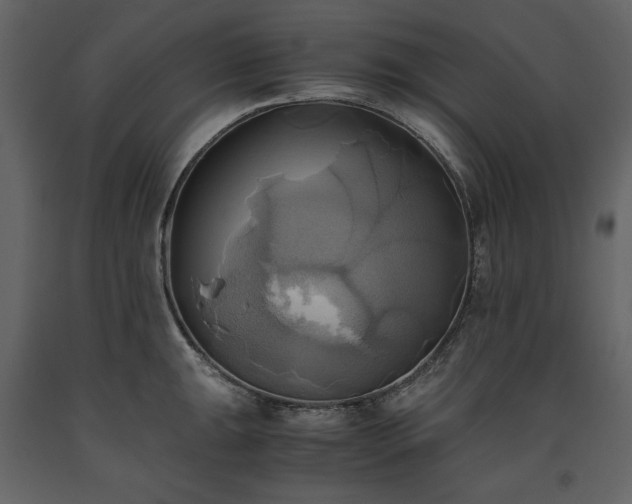 X0000093611047200710221603