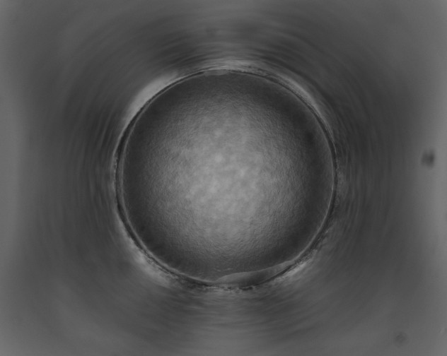 X0000093611050200710221603