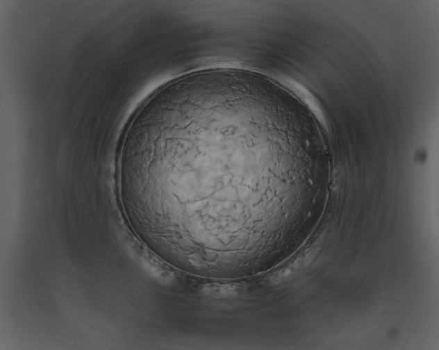 X0000093611051200710221603