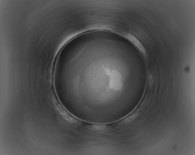 X0000093611052200710221603
