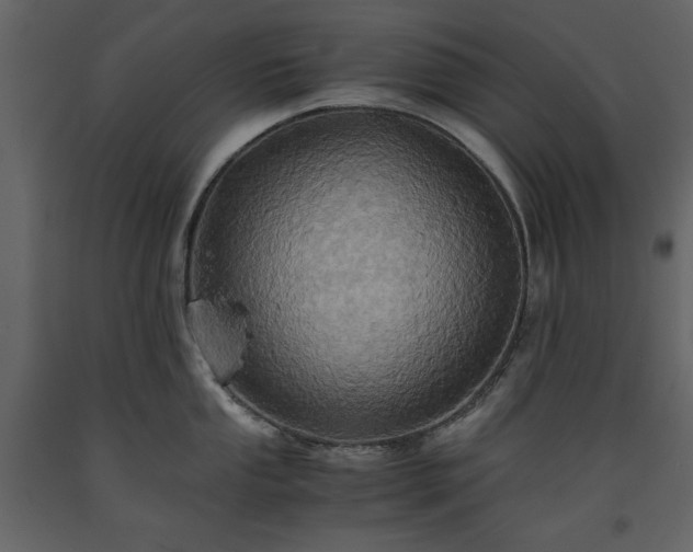 X0000093611053200710221603