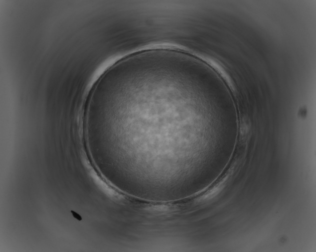 X0000093611054200710221603