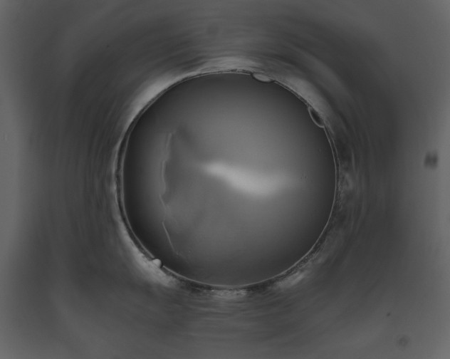 X0000093611055200710221603