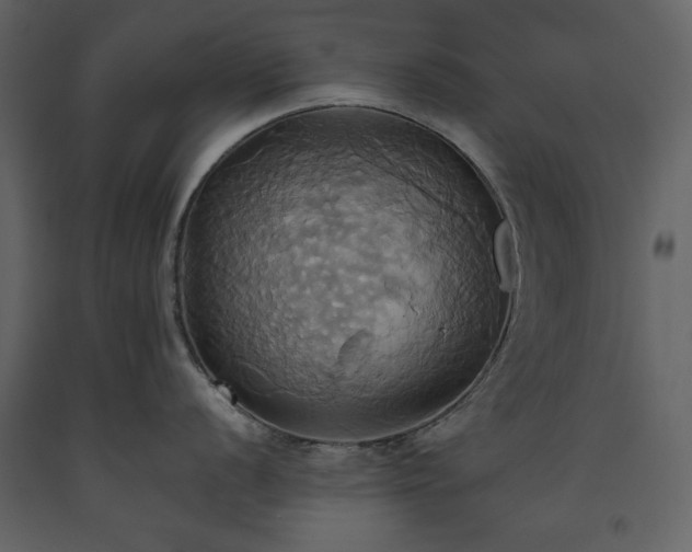 X0000093611056200710221603