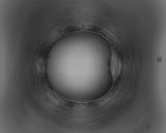 X0000093611058200710221602