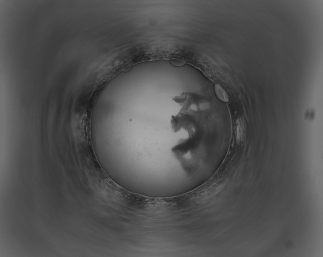 X0000093611059200710221602