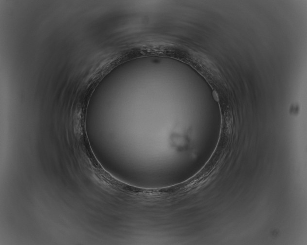 X0000093611060200710221602