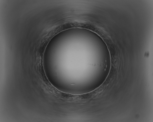 X0000093611061200710221602