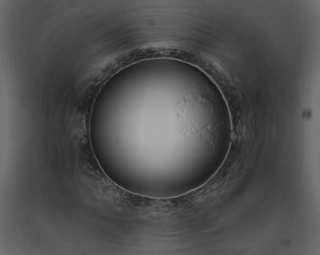 X0000093611062200710221602