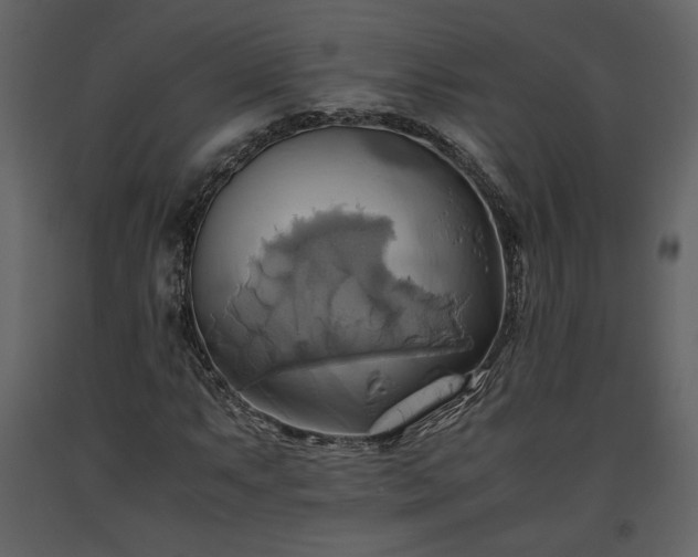 X0000093611063200710221602