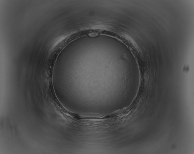 X0000093611064200710221602