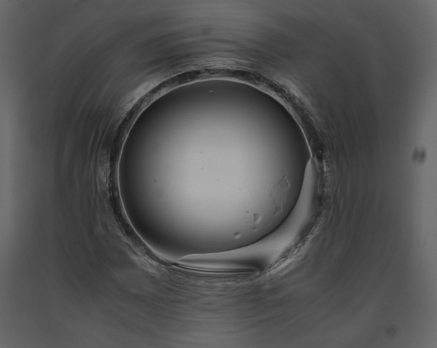 X0000093611065200710221602