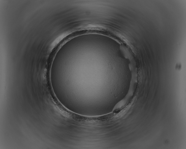 X0000093611066200710221602