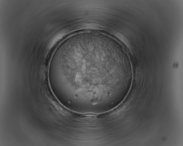 X0000093611067200710221602
