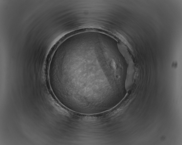 X0000093611068200710221602