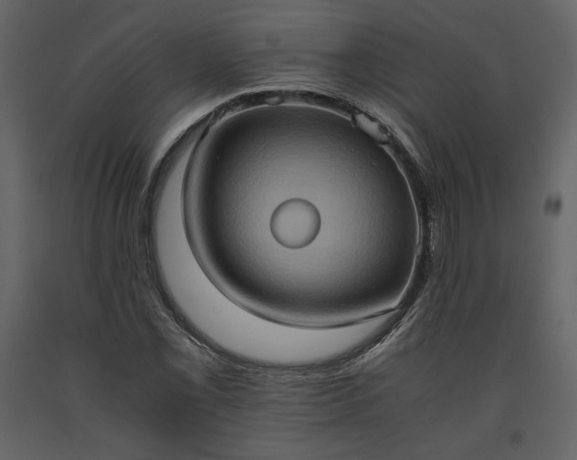 X0000093611069200710221602