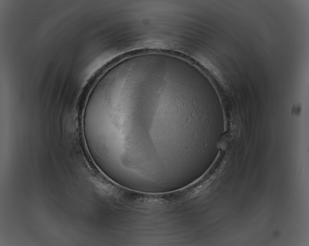 X0000093611070200710221602