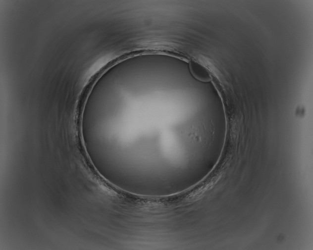 X0000093611071200710221602
