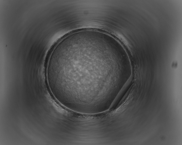 X0000093611072200710221602