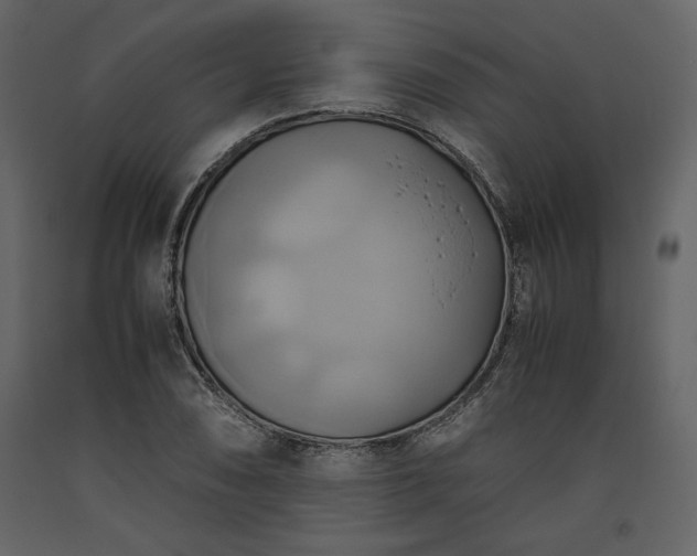 X0000093611074200710221602