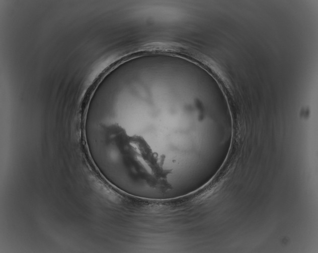X0000093611075200710221602