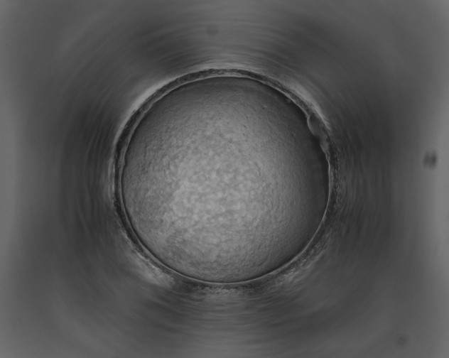 X0000093611076200710221602