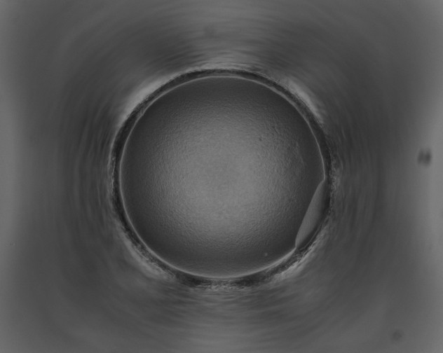 X0000093611077200710221602