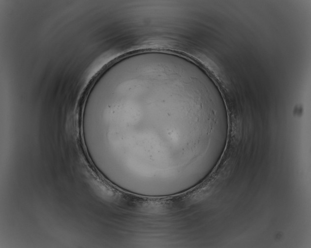 X0000093611078200710221602
