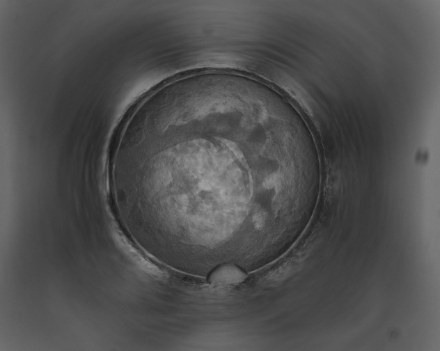X0000093611080200710221602