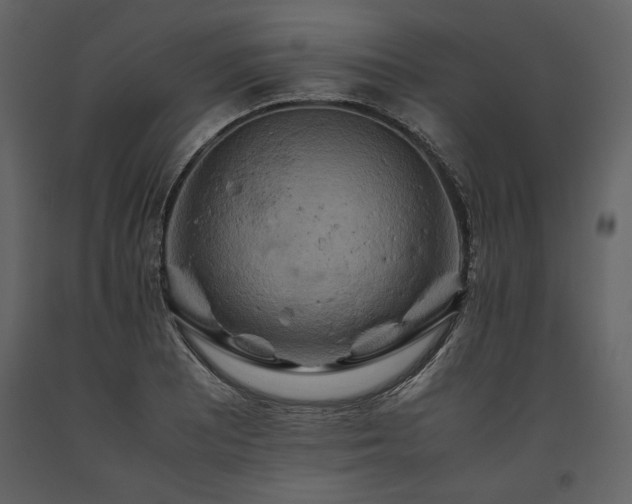 X0000093611081200710221602