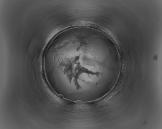X0000093611083200710221602