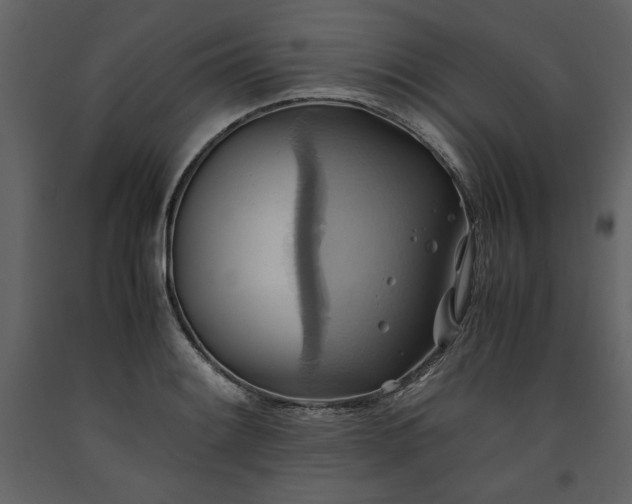 X0000093611084200710221602