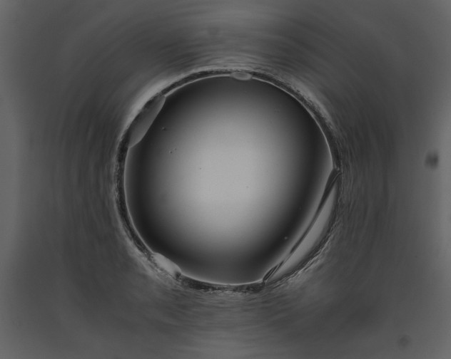 X0000093611085200710221602