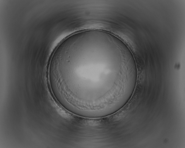 X0000093611086200710221602