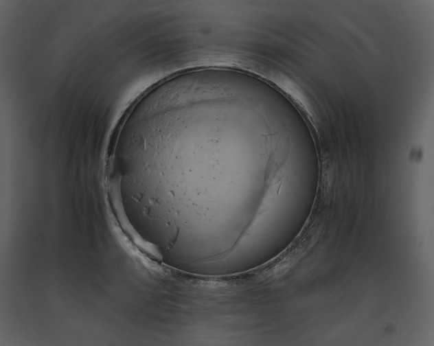 X0000093611088200710221602