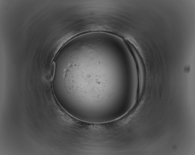 X0000093611089200710221602
