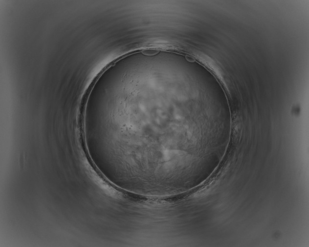 X0000093611091200710221602