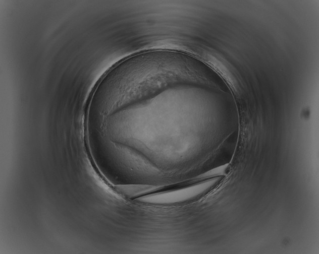 X0000093611092200710221602